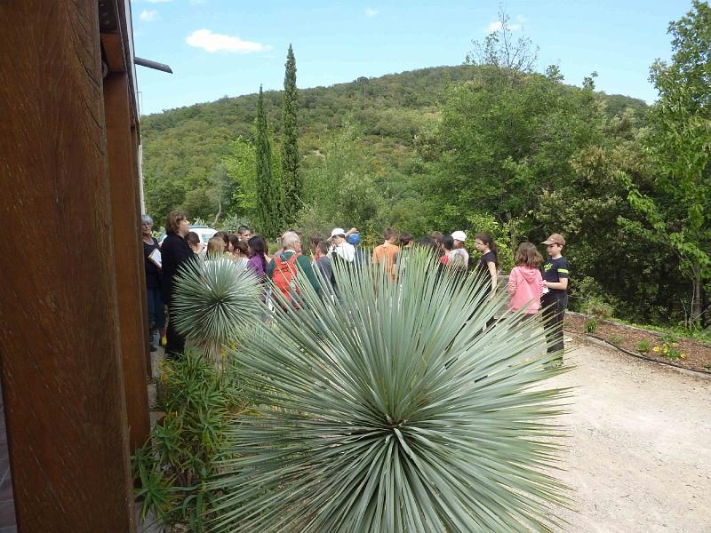 P1080307 [Résolution Originale].JPG